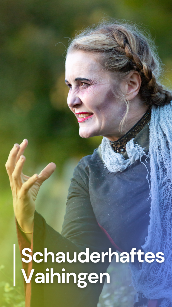 Schauderhaftes Vaihingen